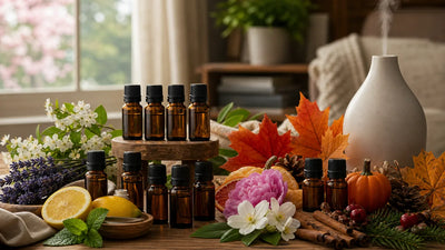 Best Fragrance Oil Packs for Seasonal Scents